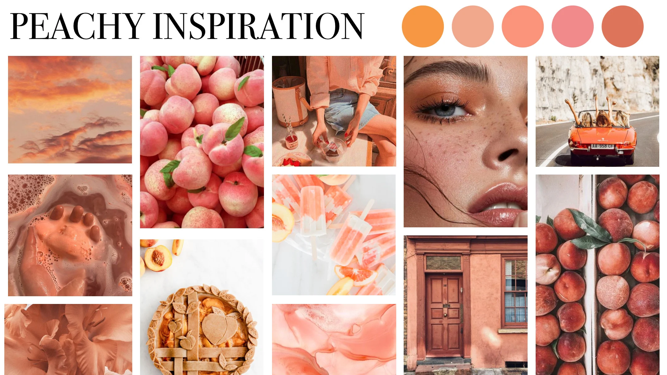 Créer un Moodboard Photographe