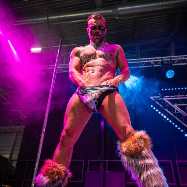 Artistes du Salon de l'érotisme de Nantes Erosexpo