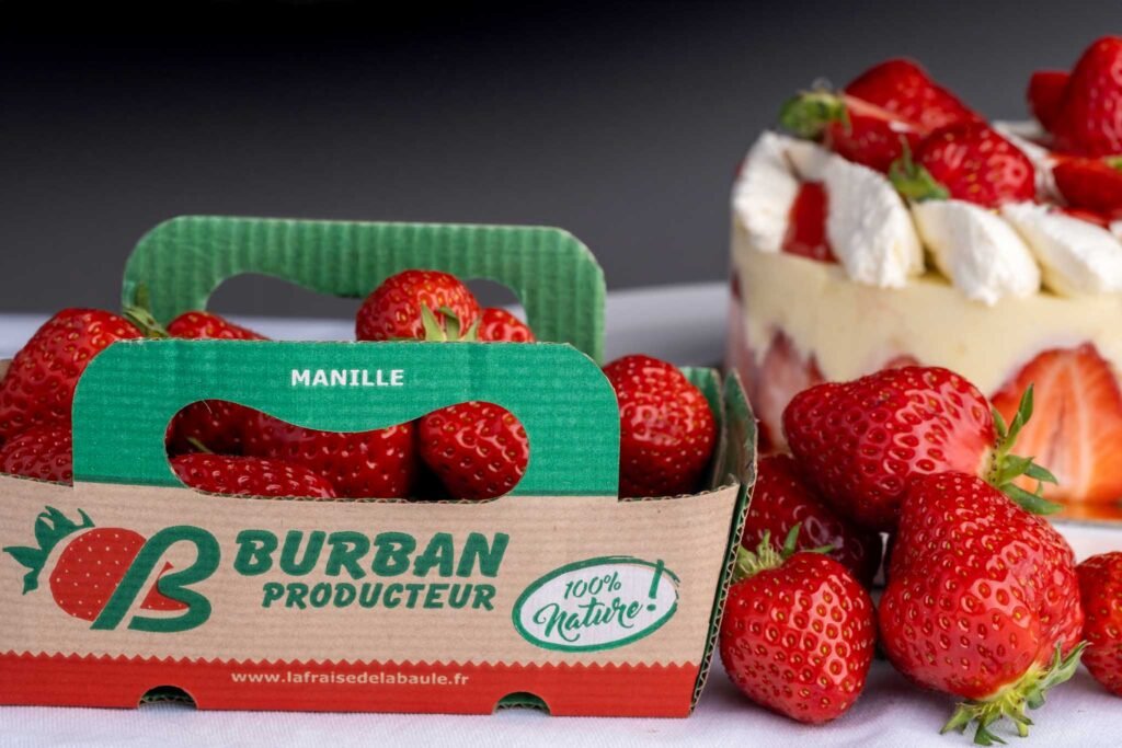 Fraises Burban Producteur